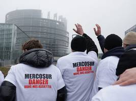 Mercosur-Vertrag: Ein paar Prinzipienreiter geben die  EU der Lächerlichkeit preis